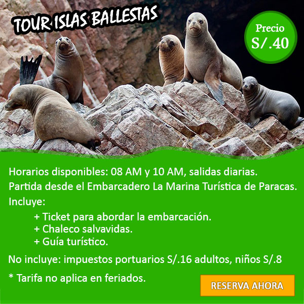 tour islas ballestas horarios